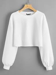 Sheinspringiton discover affordable and fashionable women's clothing online at shein. Rippenstrick Crop Top Mit Sehr Tief Angesetzter Schulterpartie Aktuelle Trends Gunstig Kaufen Shein Deutschland