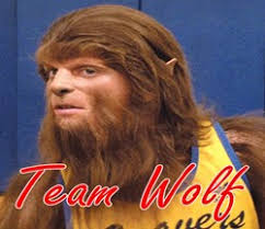 The National Grid Wolf Pack