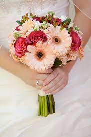 Gerbera daisy and roses bouquet. Pin By Ashley Williams On My Wedding At Tivoli Too Wedding Bridal Bouquets Daisy Bouquet Wedding Gerber Daisy Bouquet Wedding