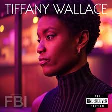 Anything Can Be An Album Cover: FBI Undercover Edition. 🎶 What kind of  bops would you like to see