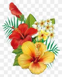 Tropical Flower Watercolor Png Clip Art Royalty Free Hawaiian Flowers Png Transparent Png Painting Tutorial Abstract Digital Flowers Tropical Flowers