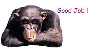 Image result for good job gifs animated