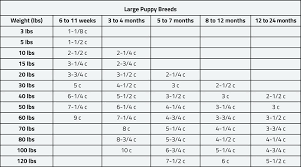 Hills Science Diet Large Breed Puppy Food Bonus Bag Plan