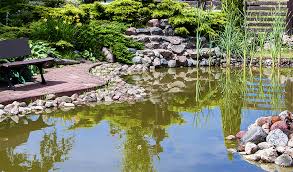 We did not find results for: Bache Pour Bassin Poisson Jardiland