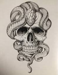 Black And White Snake Tattoo Drawing Black And White Snake Lying On Skull In 2020 Skull Tattoo Design Tattoos Skulls Drawing
