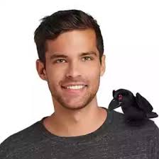 Raven Crow Magnetic Shoulder Plush The Haunted Mansion Small 7 1/2'' D23  Expo