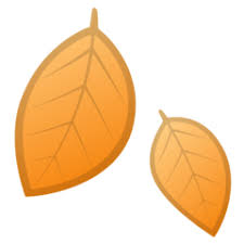 Emoticon bintang yang berputar sering dikira melambangkan bintang jatuh atau meteor. Arti Emoji Daun Gugur Fallen Leaf Emojipedia