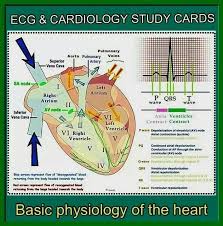 Cardiology Study Card Nurse Cardiology Nursing Cardiology Study