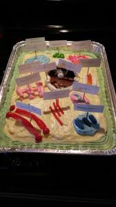 Maybe you would like to learn more about one of these? Edible Plant Cell Project Betty Crocker Cake Mix Icing Food Coloring Snow Ball Snack Cake Skittles Gu Cells Project Plant Cell Project Biology Projects