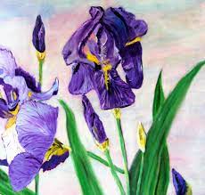 Célèbre artiste van gogh peinture à l'huile affiche ciel étoilé iris fleur paysage affiche et imprime salon bar café mur décor. Grande Peinture Iris Violetspeinture Huile Irispeinture Etsy Peinture Fleurs Peinture Florale Peinture Violet