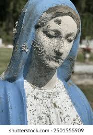 Death Mother Mary Royalty-Free Images, Stock Photos & Pictures