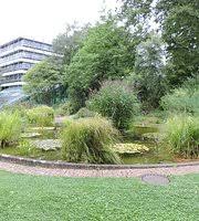 Funktionelle morphologie und bionik angeschlossen ist die plant biomechanics group freiburg unter leitung von prof. Botanischer Garten Der Universitat Freiburg Aktuelle 2020 Lohnt Es Sich Mit Fotos