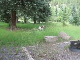 Maybe you would like to learn more about one of these? Morning Views Bild Von Rio Grande National Forest Monte Vista Tripadvisor