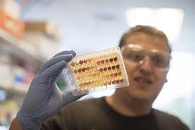 Salem State grads carry