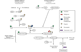 Coagulation Cascade And Site Of Action Of Anticoagulants