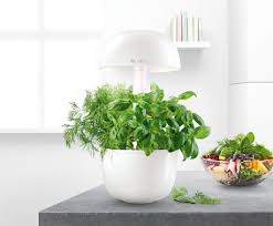 Basilikum basilikum wächst sehr gut im zimmer. Bosch Smartgrow Automatisierter Krautergarten Fur Daheim