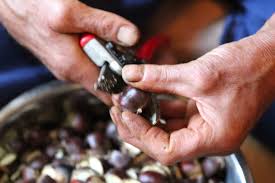 Vedi come bollire le castagne. Castagne 5 Errori Da Non Fare Dissapore
