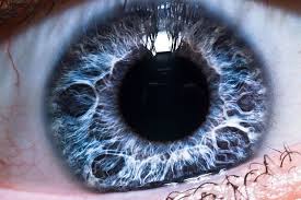 My Eye Closeup Eye Close Up Eye Photography Iris Eye
