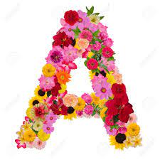 Flowers in these page are annuals, perennials, herbs, ornamental grasses. Letter A Alphabet With Flower Abc Concept Type As Logo Isolated Stock Photo Picture And Royalty Free Image Image 120703390