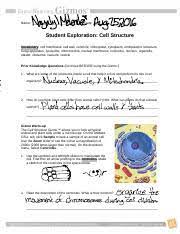 Learn vocabulary, terms and more with flashcards, games and other study tools. Activity B Specialized Cells Gizmo Answers Student Exploration Cell Structure Answer Key