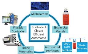 Formerly known as mcafee associates, inc. Platform Solutions For Cell Therapy Manufacturing Bioprocess Internationalbioprocess International