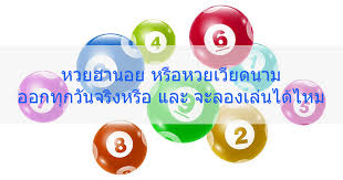 หวยฮานอย หร อหวยเว ยดนาม ออกท กว นจร งหร อ และ จะลองเล นได ไหม แมวป า ช าง คำคม