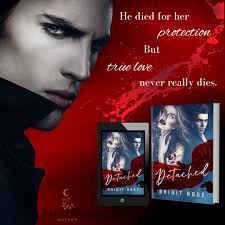 Hi all! My name is Krys Fenner, aka Brigit Rosé—like the wine, not the  flower, and I'll be partying with you for the next couple of hours. I  dabble in a bit