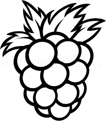 Supercoloring.com is a super fun for all ages: How To Draw A Raspberry Coloring Page Trace Drawing