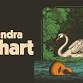 Devendra Banhart event image