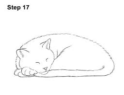 Learn how to draw a kitten with simple step by step instructions. How To Draw A Cat Kitten Sleeping 17 Kitten Drawing Sleeping Drawing Cats Art Drawing