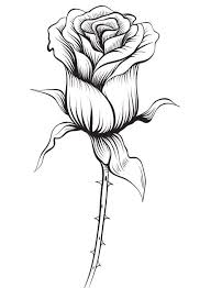 Bellissimi fiori disegni da colorare di un bel fiore. Disegni Di Rose Da Colorare Stampa Online La Regina Dei Fiori