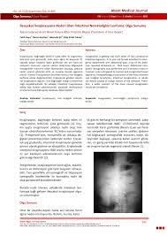 Bütün lenfoma tipleri lenfatik sistemdeki lenfosit denen hücrelerde başlar. Non Hodgkin Lenfoma Nedir Pdf Kcas Taameansh Site