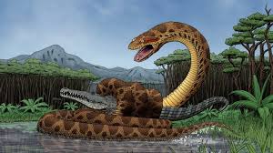 Mau yang mana pun, kamu harus tetap. Sudah 2 Ular Makan Manusia Pakar Herpetologi Lipi Ungkap 4 Fakta Ular Piton Sulawesi Itu Tribun Jambi