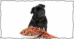 Best dog foods for pug puppies. Feeding A Pug What You Need To Know About Your New Pet