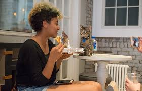 So go forth, and live koneko heavily influenced by the original japanese cat cafés that inspired the trend (koneko means kitten in japanese), this new arrival to the kitty scene. Cat Cafe New York Best Friends Animal Society