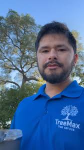 Helped easy stumps tree service with the treemek today take out a massive  hazard elm. Awesome job easy stumps team and of course Aaron for slaying it 