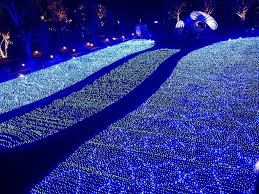 Christmas Night Lighting Dislpay Wallpaper Christmas Lights 1024x768 No 33 Deskto Blue Christmas Lights Christmas Lights Wallpaper Christmas Lights Outside