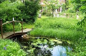 Gib einfach in das feld rabattcode eintausendundeingartentipp ein und profitiere bis zum 30.06.2020. Garten Tipps Bund Hoxter