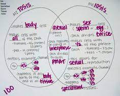 We'll track players' scores to their emails, names or another identifier of your choice. 7 Mitosis Vs Meiosis Ideas Mitosis Meiosis Biology Classroom
