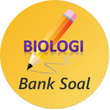 Maybe you would like to learn more about one of these? Soal Soal Latihan Materi Kingdom Plantae Biologi Kelas X Ipa Sma Ma Biologine Pak Mycunk