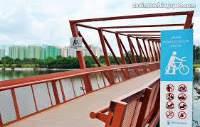 The road leads to industrial buildings and farms in pasir ris farmway. Youths Jump Off 3 Metre High Lorong Halus Pedestrian Bridge At Punggol For A Swim Below Mothership Sg News From Singapore Asia And Around The World