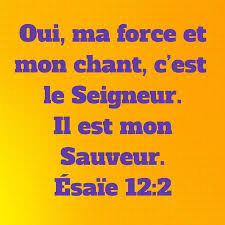 Pin On La Bible En Images