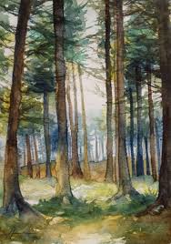 A Walk In The Woods 2015 Watercolour By Isabel Ferreira Forest Drawing Walk In The Woods Watercolor On Wood