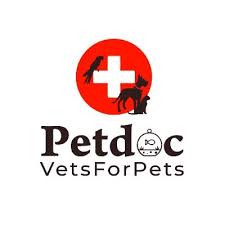 When a veteran is matched with the right pet, both lives change for the better. Petdoc Vets For Pets Petdochyderabad Twitter