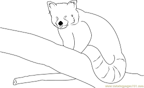 Red panda coloring page at getdrawings com free for. Red Panda By Neomys Coloring Page For Kids Free Red Panda Printable Coloring Pages Online For Kids Coloringpages101 Com Coloring Pages For Kids