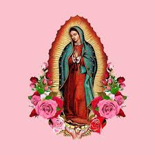 Our Lady Of Guadalupe Virgin Mary Virgin Of Guadalupe T Shirt Teepublic Virgin Mary Art Mexican Art Art