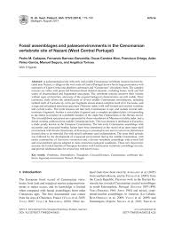Francisco ortega garcia sl ha obtenido la posición 94.116 del ranking nacional de empresas según ventas , mejorando en 31.915 posiciones respecto al año 2017. Fossil Assemblages And Palaeoenvironments In The Cenomanian Vertebrate Site Of Nazare West Central Portugal Neues Jahrbuch Fur Geologie Und Palaontologie Abhandlungen Band 273 Heft 2 Schweizerbart Science Publishers