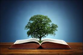 Environmental Studies Environment Tutorialspoint