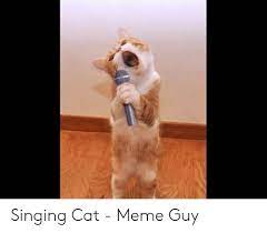 Singing Cat Meme Guy Meme On Me Me