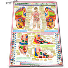 Poster Sketch Chart Of The Foot Reflexive Zones By Traditional Thai Foot Massage Reflexology